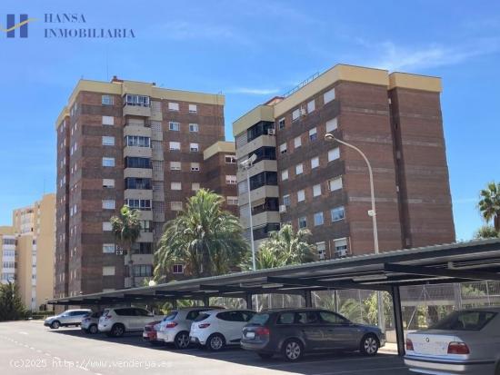 VIVIENDA DE 4 DORMITORIOS EN SAN BLAS ALICANTE - ALICANTE