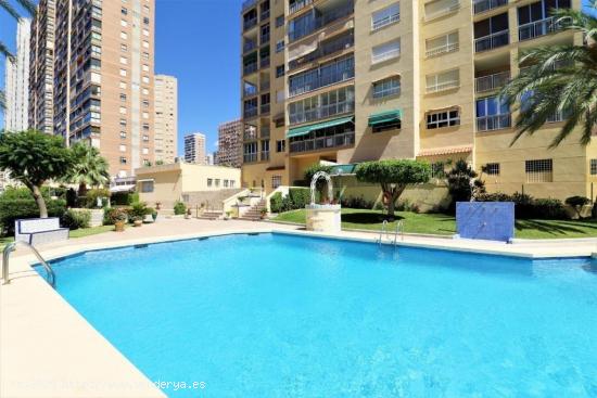 Precioso, totalmente reformado apartamento de esquina con terraza, trastero en zona Levante. - ALICA