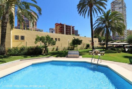 Precioso, totalmente reformado apartamento de esquina con terraza, trastero en zona Levante. - ALICA