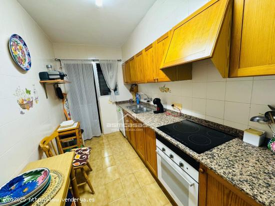 ALQUILER  SEPTIEMBRE A MAYO APARTAMENTO EN ZONA LA CURVA-BENICASIM - CASTELLON