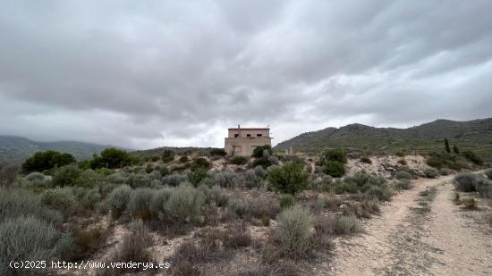 HACIA RUTAS SALVAJES - ALICANTE