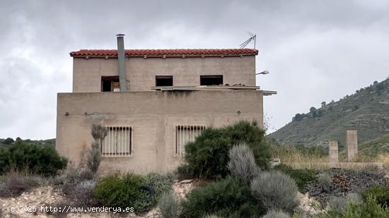 HACIA RUTAS SALVAJES - ALICANTE