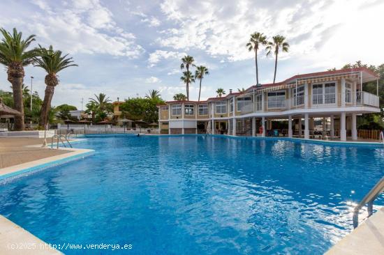 Chalet independiente de 4 dormitorios en Aguas Nuevas (Torrevieja) - ALICANTE