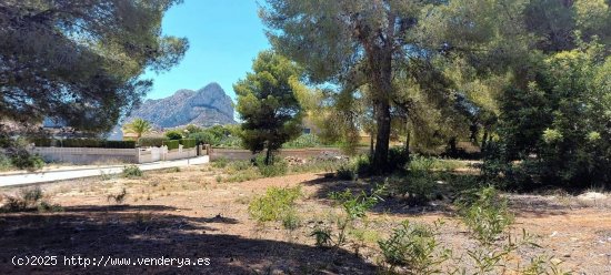  Solar en venta en Calpe (Alicante) 