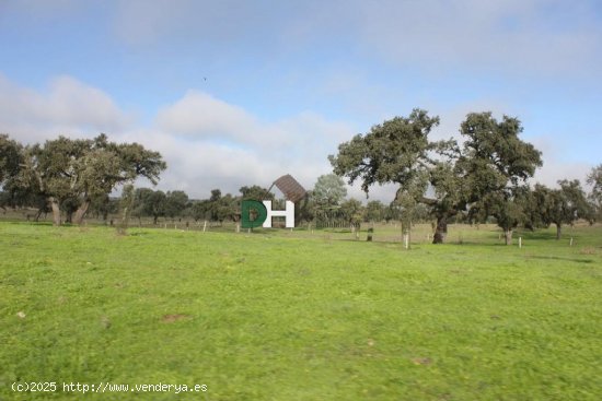 Solar en venta en Cáceres (Cáceres)