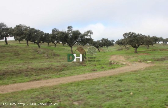 Solar en venta en Cáceres (Cáceres)