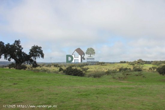 Solar en venta en Cáceres (Cáceres)