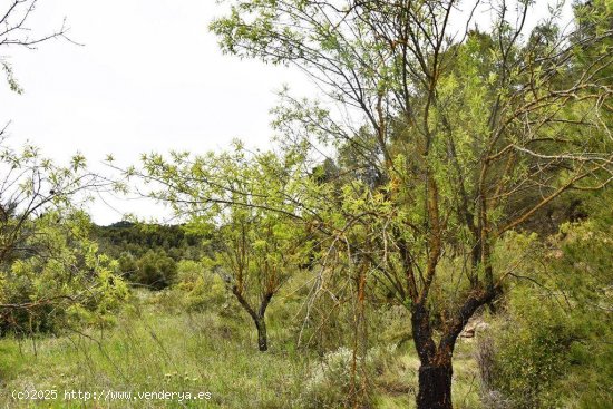 Finca en venta en Arens de Lledó (Teruel)