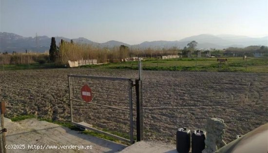 Suelo rústico en Venta en Oliva Valencia