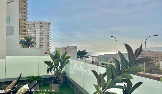 Apartamento en Alquiler en Adeje Santa Cruz de Tenerife