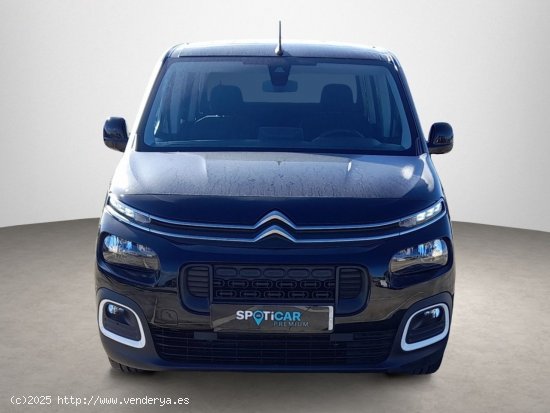 Citroën Berlingo 1.5 BLUEHDI 100 TALLA M FEEL BUSINESS 5P (N1) - 