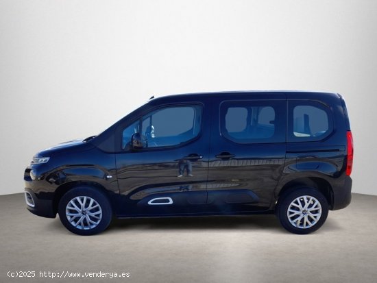 Citroën Berlingo 1.5 BLUEHDI 100 TALLA M FEEL BUSINESS 5P (N1) - 