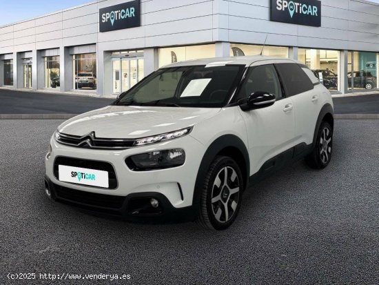  Citroën C4 Cactus  PureTech 110 S&S Shine - FINESTRAT 