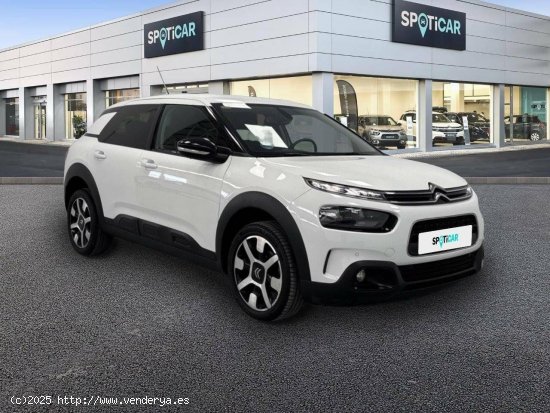 Citroën C4 Cactus  PureTech 110 S&S Shine - FINESTRAT