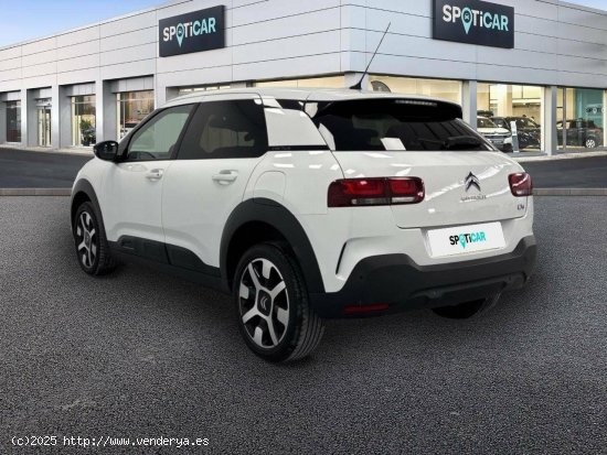 Citroën C4 Cactus  PureTech 110 S&S Shine - FINESTRAT