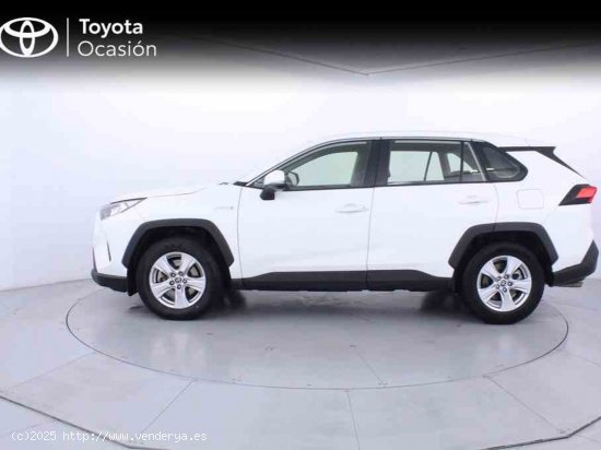 Toyota Rav4 2.5l 220H Business 4WD + Pack Protección - Zaragoza