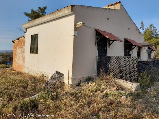  OPORTUNIDAD FINCA RUSTICA DE READIO CON CASA VIVIENDA EN FLIX - TARRAGONA 