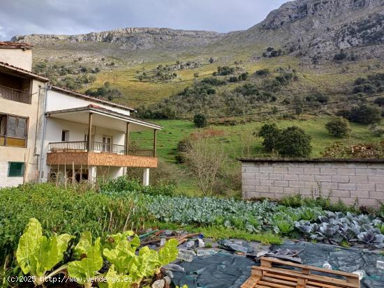  CASA PAREADA CON TERRENO EN MATIENZO (CANTABRIA) - CANTABRIA 