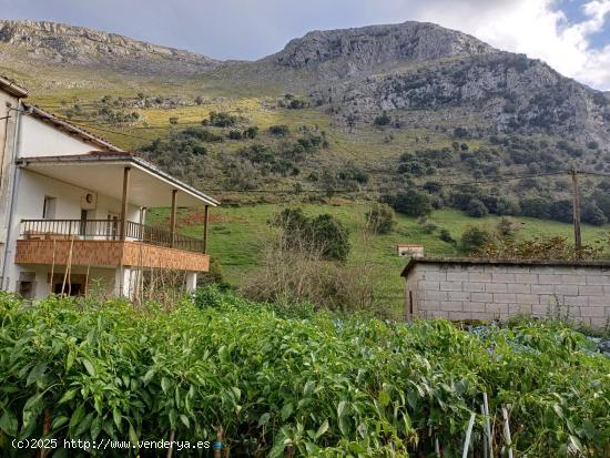 CASA PAREADA CON TERRENO EN MATIENZO (CANTABRIA) - CANTABRIA