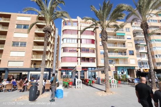 Apartamento en el Paseo Maritimo en Torrevieja. - ALICANTE