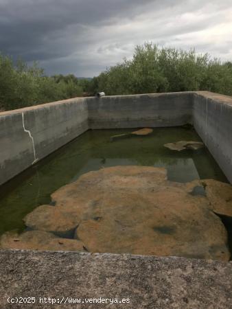 finca rustica con casa de campo y balsa, con agua - TARRAGONA