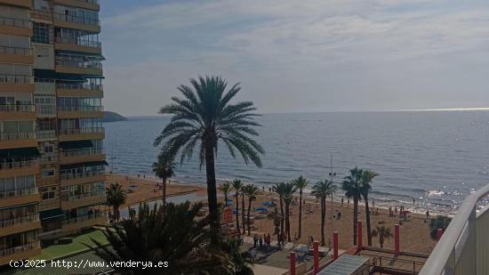  Apartamento en Primera Línea con Vistas al Mar en Benidorm – Playa de Levante - ALICANTE 