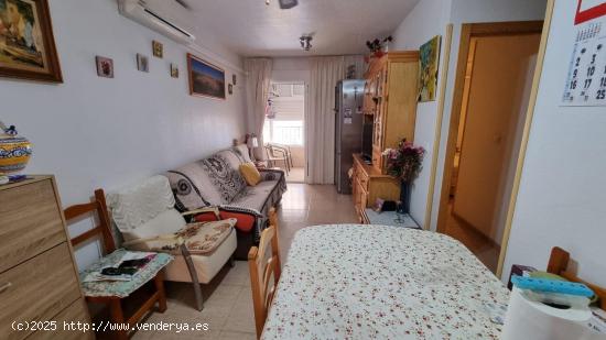 APARTAMENTO DE 2 DORMITORIOS CON PISCINA COMUNITARIA - ZONA TORREVIEJA - - ALICANTE