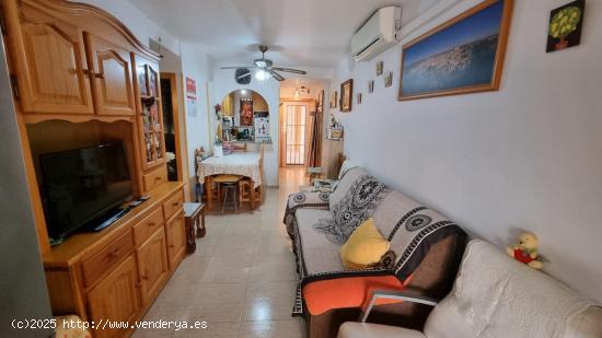 APARTAMENTO DE 2 DORMITORIOS CON PISCINA COMUNITARIA - ZONA TORREVIEJA - - ALICANTE