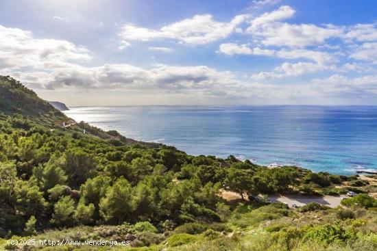 PAREADO EN PUIG DE ROS CON VISTAS AL MAR - BALEARES