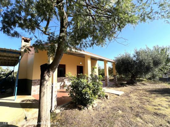 PARCELA RUSTICA CON CASITA (ANTIGUA CARRETERA MIAJADAS) - BADAJOZ