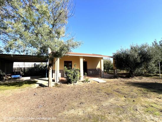 PARCELA RUSTICA CON CASITA (ANTIGUA CARRETERA MIAJADAS) - BADAJOZ