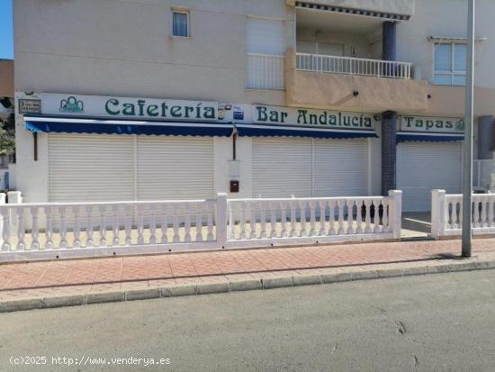 Fantástico local comercial en Guardamar del Segura, Alicante, Costa Blanca - ALICANTE