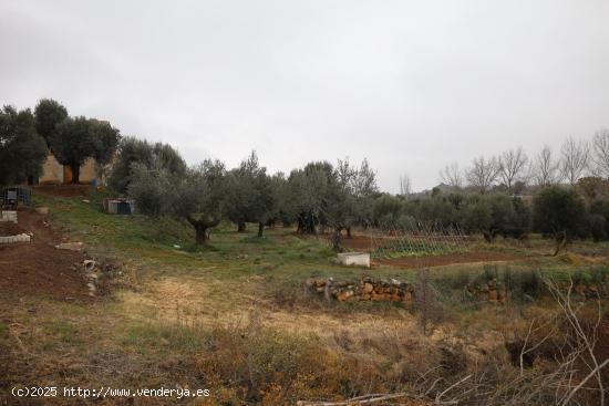 SE VENDEN  Parcelas de regadío en Paraje Val de Hueso - Alcañiz (Teruel). Ref.TR01122023 - TERUEL