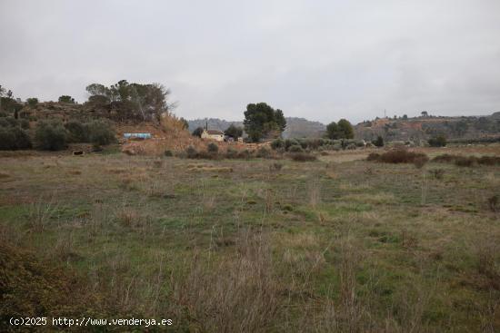 TERRENO EN VENTA EN ALCAÑIZ. Ref.TR01132023 - TERUEL