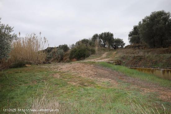 TERRENO EN VENTA EN ALCAÑIZ. Ref.TR01132023 - TERUEL