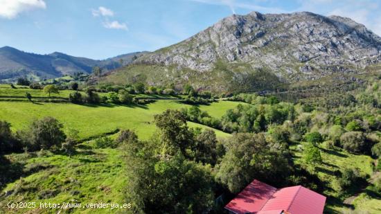 FINCA A 5 KM DE LA PLAYA - ASTURIAS