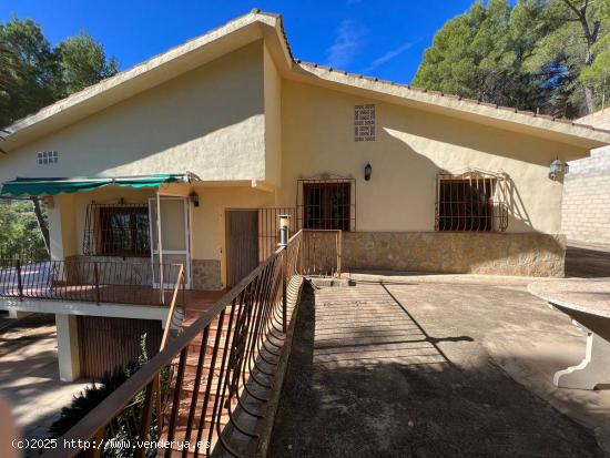 En venta finca con 26000 m2 de terreno, en Turballos. - ALICANTE