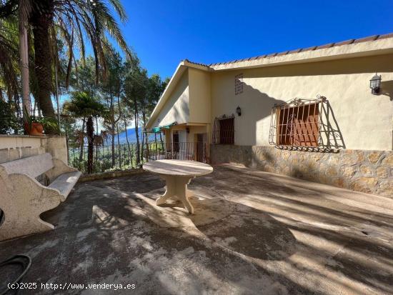 En venta finca con 26000 m2 de terreno, en Turballos. - ALICANTE