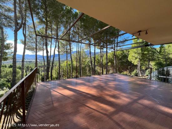 En venta finca con 26000 m2 de terreno, en Turballos. - ALICANTE