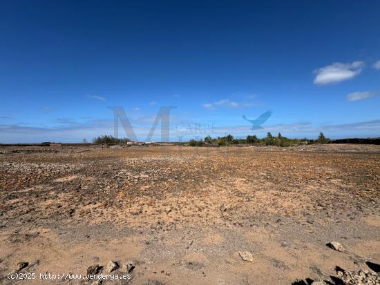 SE VENDE TERRENO RUSTICO EN EL ROQUE - LAS PALMAS