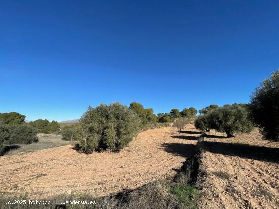 Se Vende en La Zarza - BADAJOZ