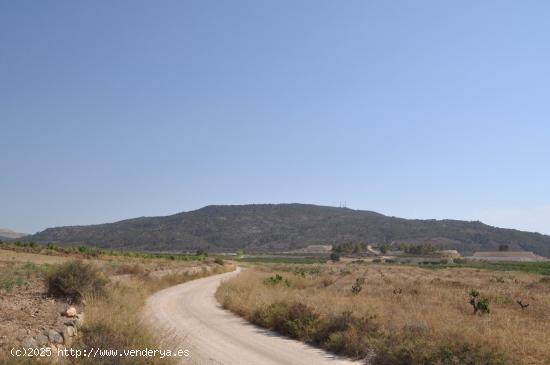 Se Vende en Pinoso - ALICANTE