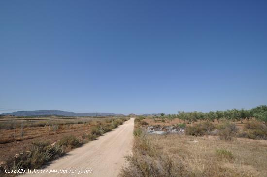 Se Vende en Pinoso - ALICANTE