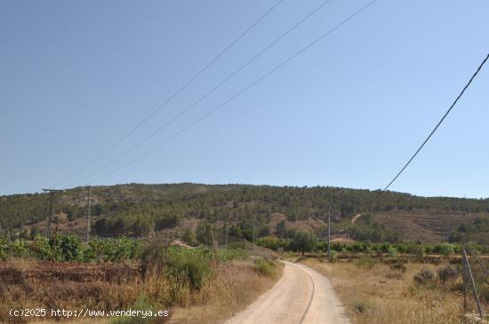 Se Vende en Pinoso - ALICANTE