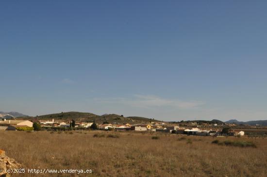 Se Vende en Jumilla - MURCIA