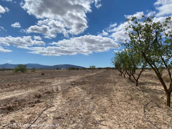 Se Vende en Pinoso - ALICANTE