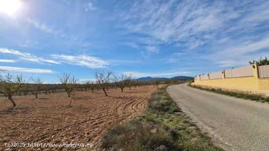 Se Vende en Pinoso - ALICANTE