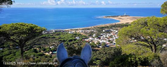 Se Vende en Vejer de la Frontera - CADIZ