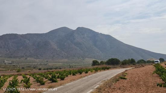 Se Vende en Abanilla - MURCIA