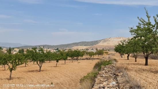 Se Vende en Algueña - ALICANTE